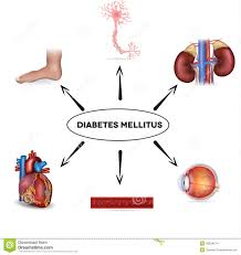 Diabetes y conducción