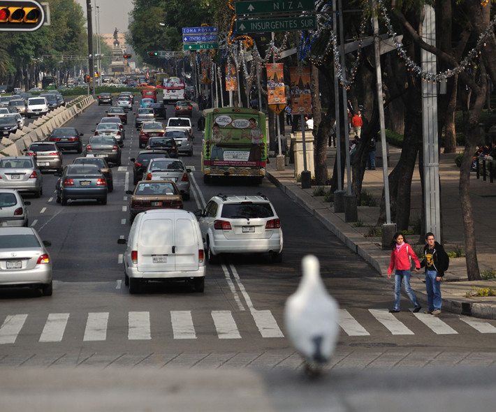Renovar carné de conducir: Multas que pueden ponerte como peatón que seguramente desconoces