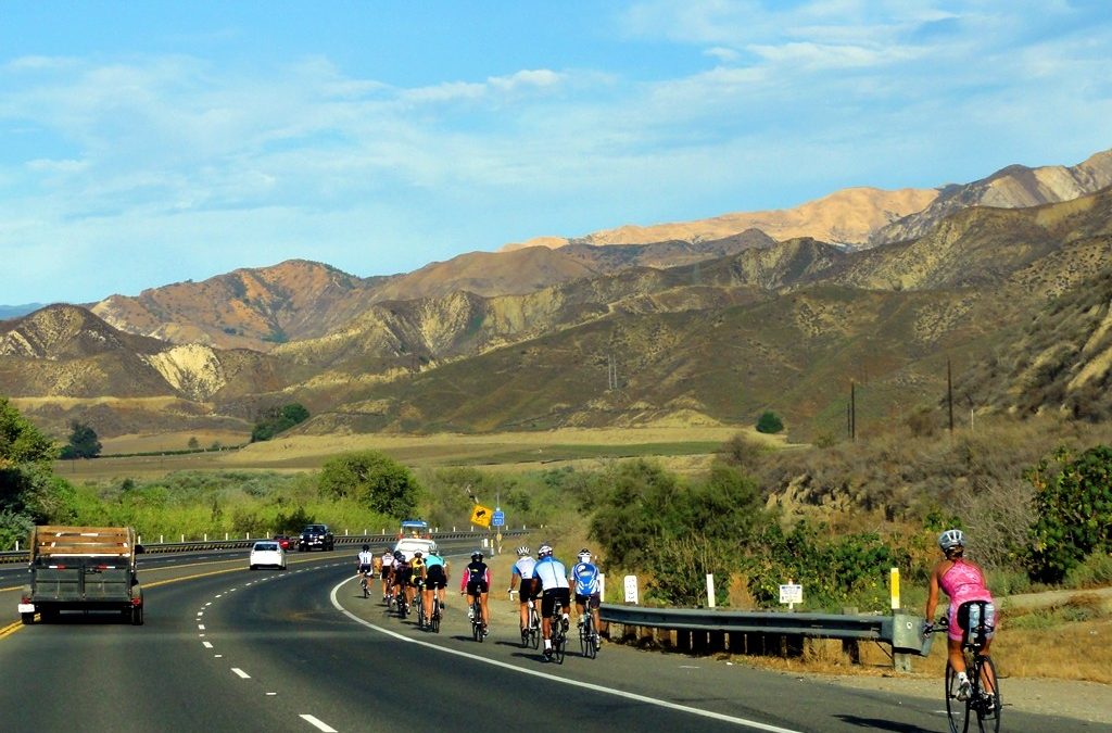 Psicotécnicos: Nuevo plan del gobierno para la protección y seguridad de los ciclistas