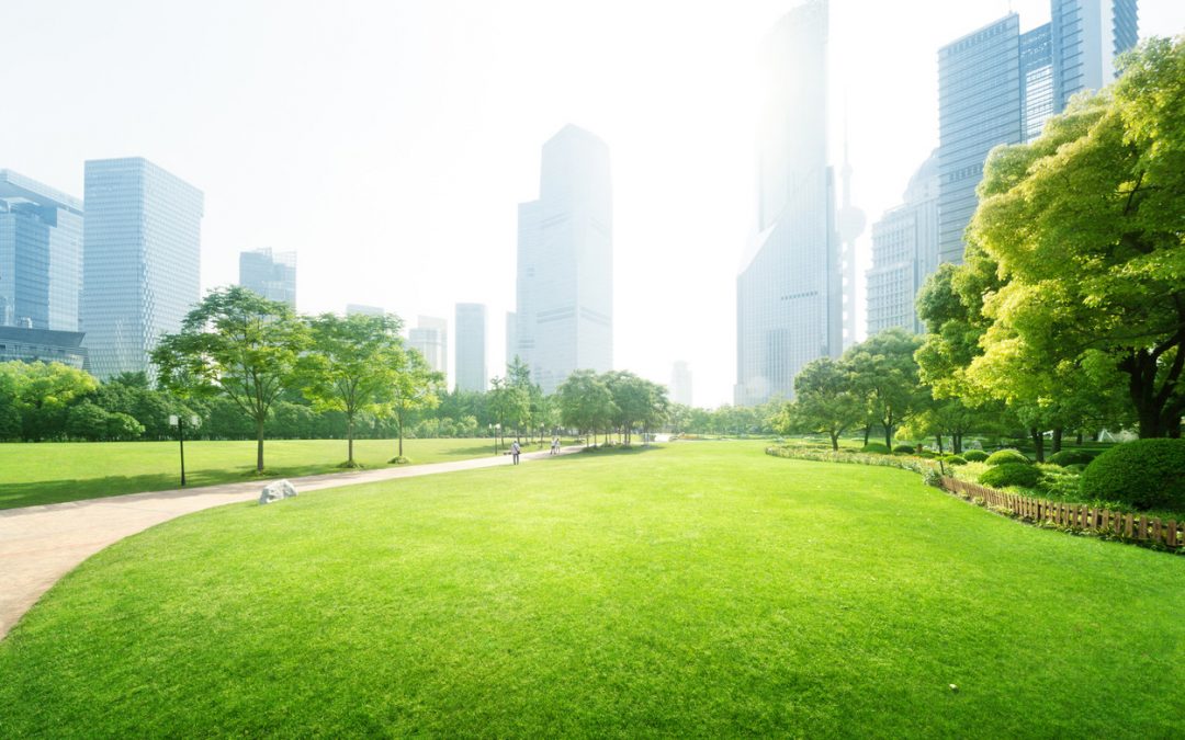 Renovar carné de conducir: Día Mundial del Medioambiente: una ciudad sostenible también pasa por una movilidad segura