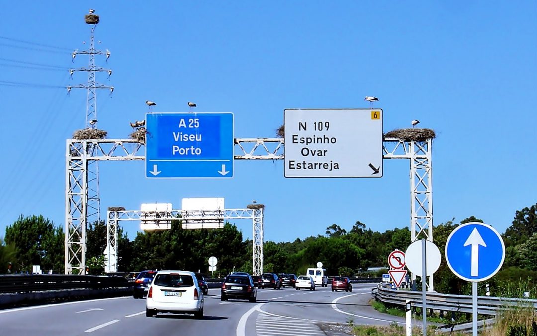 Renovar carné de conducir: Guía para moverte por las carreteras de Portugal