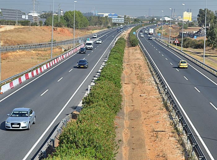 Psicotécnicos: ¿Para qué sirven las adelfas en la mediana de las autovías?